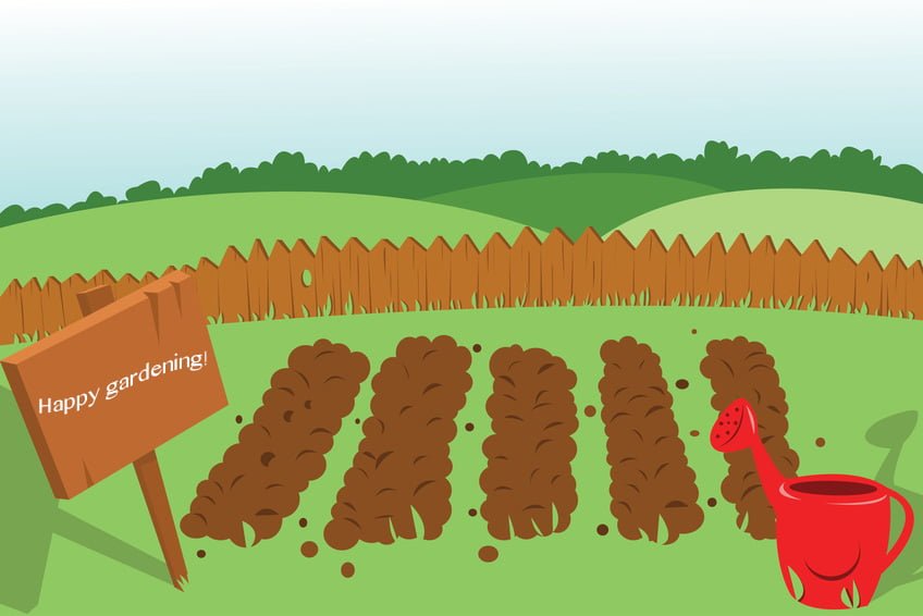 garden rows clipart - photo #1