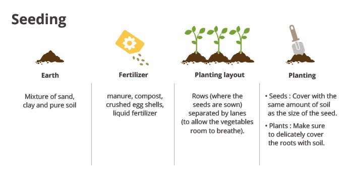 Seeding (Earth, fertilizer, planting layout, planting) 