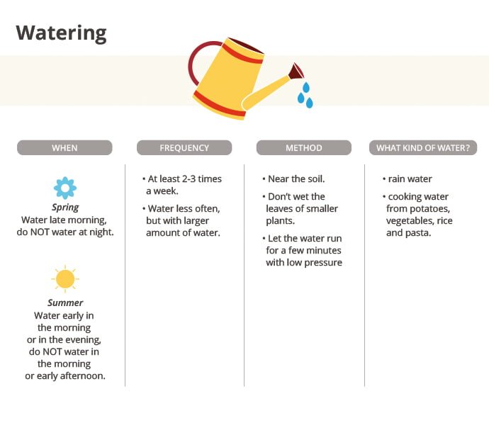 Watering your garden (when, frequency, method, what king water)