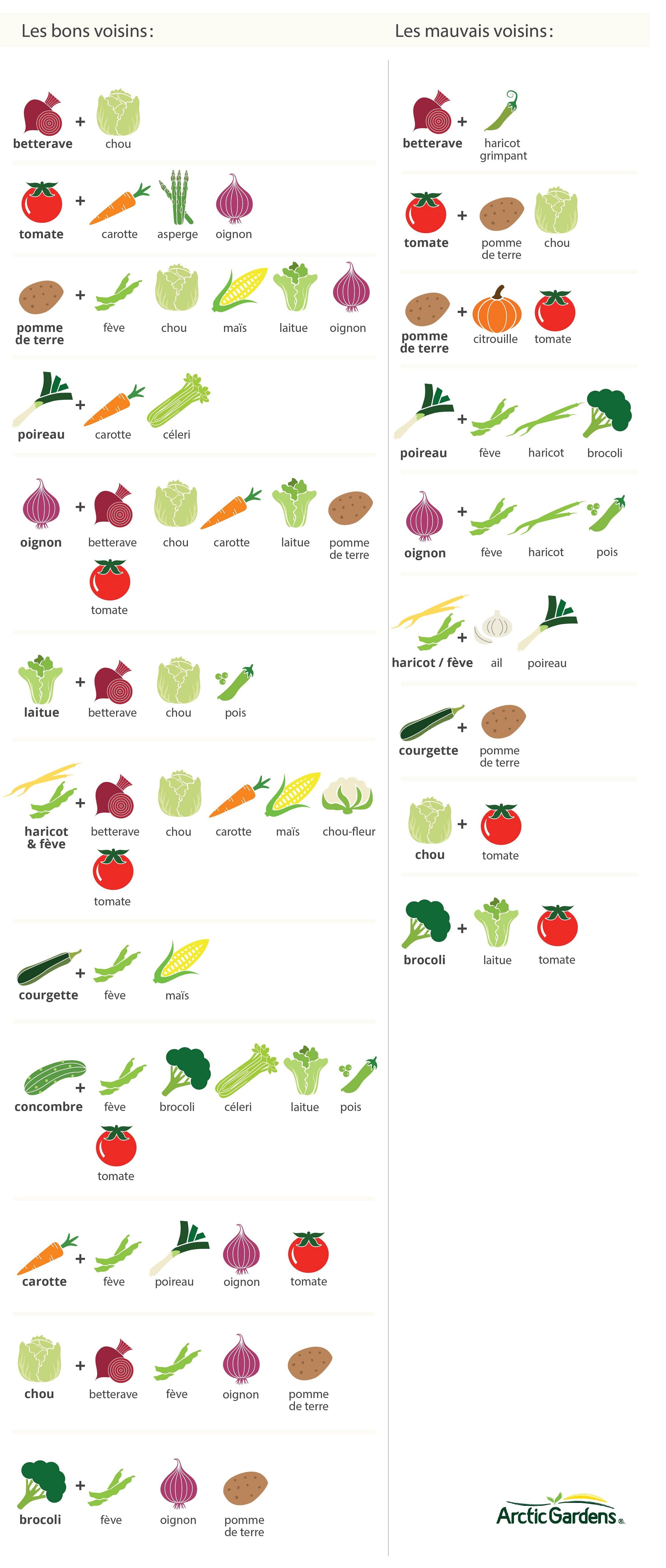 Jardinage 101: utilisation du compost dans votre jardin