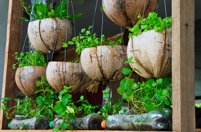 Gardening Tips During The Rainy Days – The Urban Gardening Shop