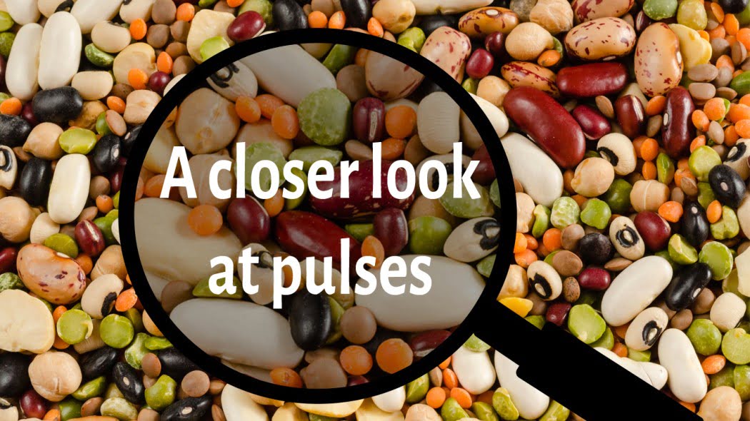 Facts and Recipes everything about legumes and pulses!