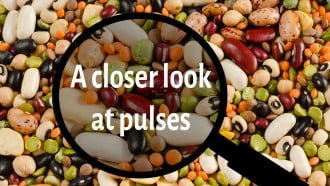 A closer look at pulses