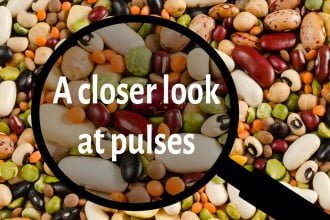 A closer look at pulses