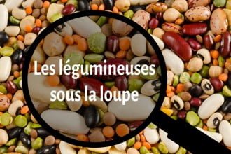 Les légumineuses sous la loupe