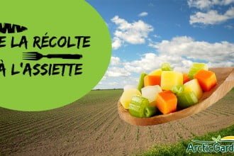 De la récolte à l'assiette