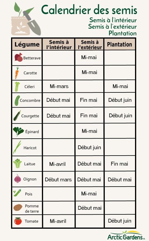 Calendrier des semis du jardin potager: quand semer et quand récolter?