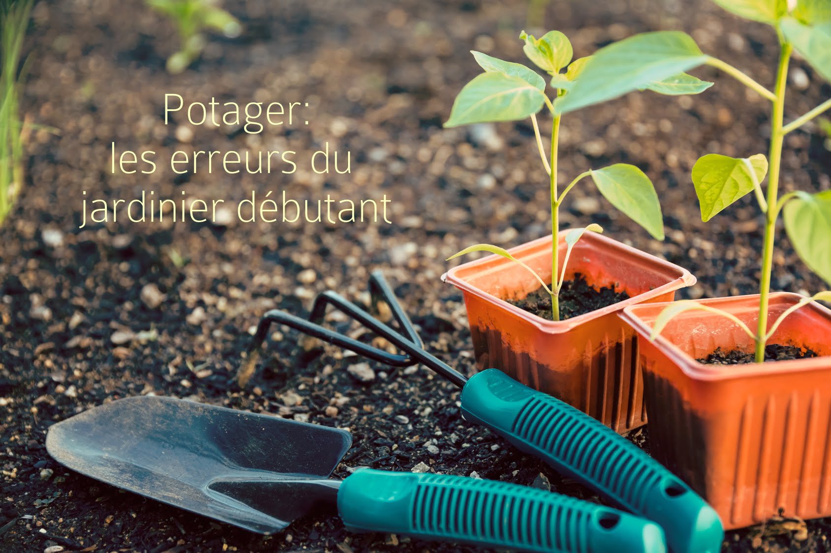 Règle De Plantation En Bois + Semoir - Outil Jardin Pour Espacement Graines - Conseils Légumes Inclus - 30 Cm - 10
