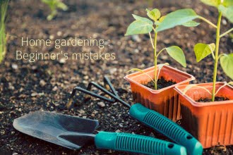 Home gardening : Beginner's mistakes