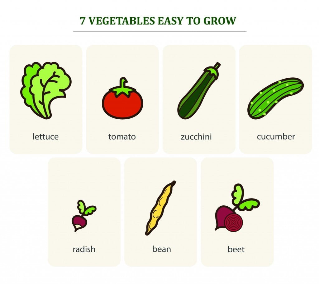 7 easy-to-grow vegetables