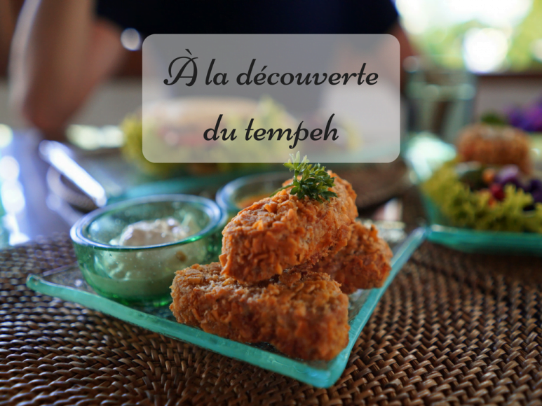 À la découverte du tempeh comment le cuisiner Arctic Gardens