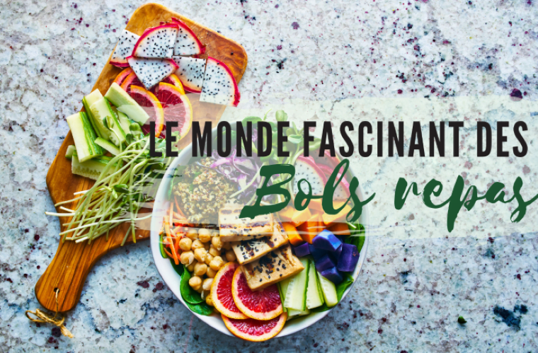 Bols-repas-arctic-gardens
