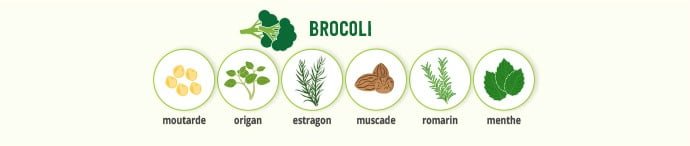 Brocoli & épices