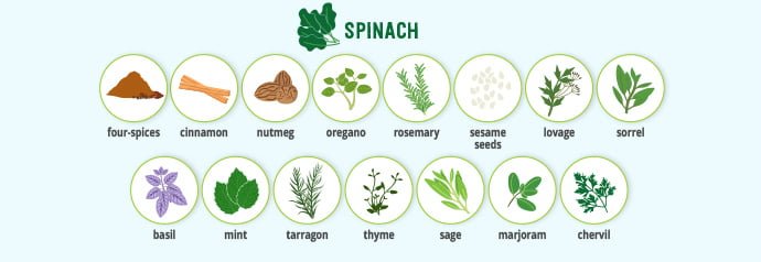 Spinach & spice