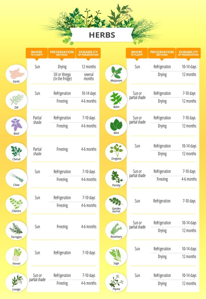 Herb Watering Chart