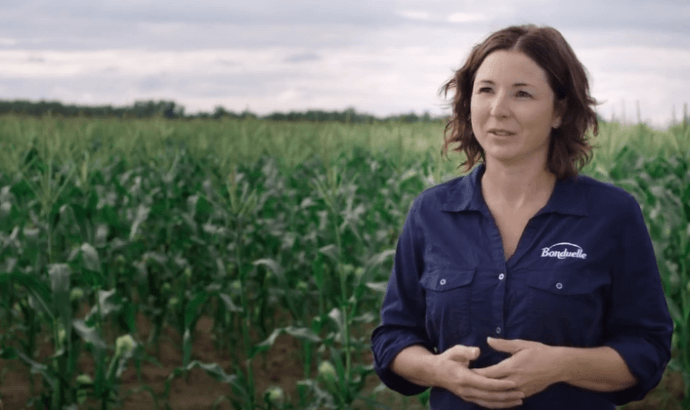 Fieldmen | Arctic Gardens