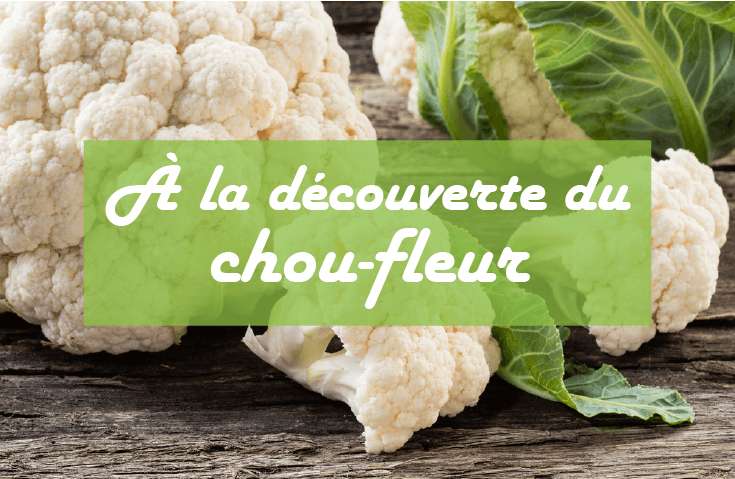 À la découverte du chou-fleur