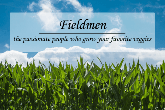 fieldmen