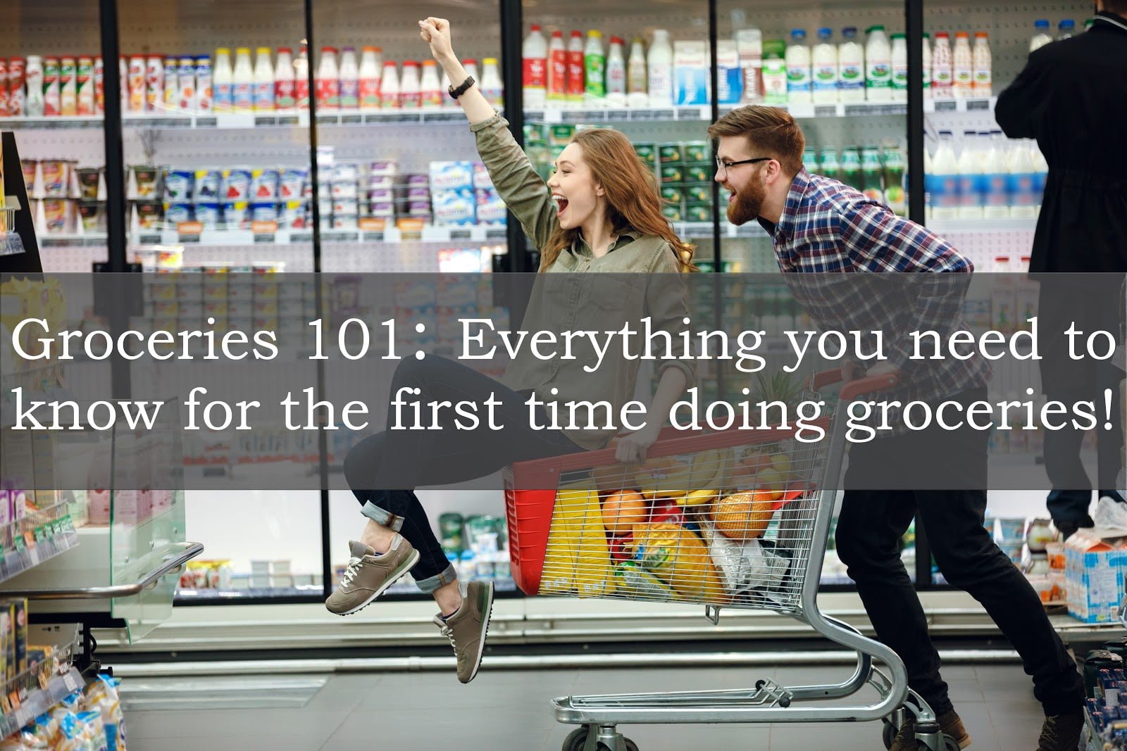 Everything you need to succeed in your first grocery store Arctic Gardens