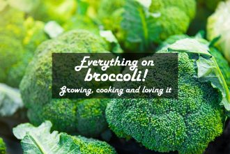 Broccoli Cover