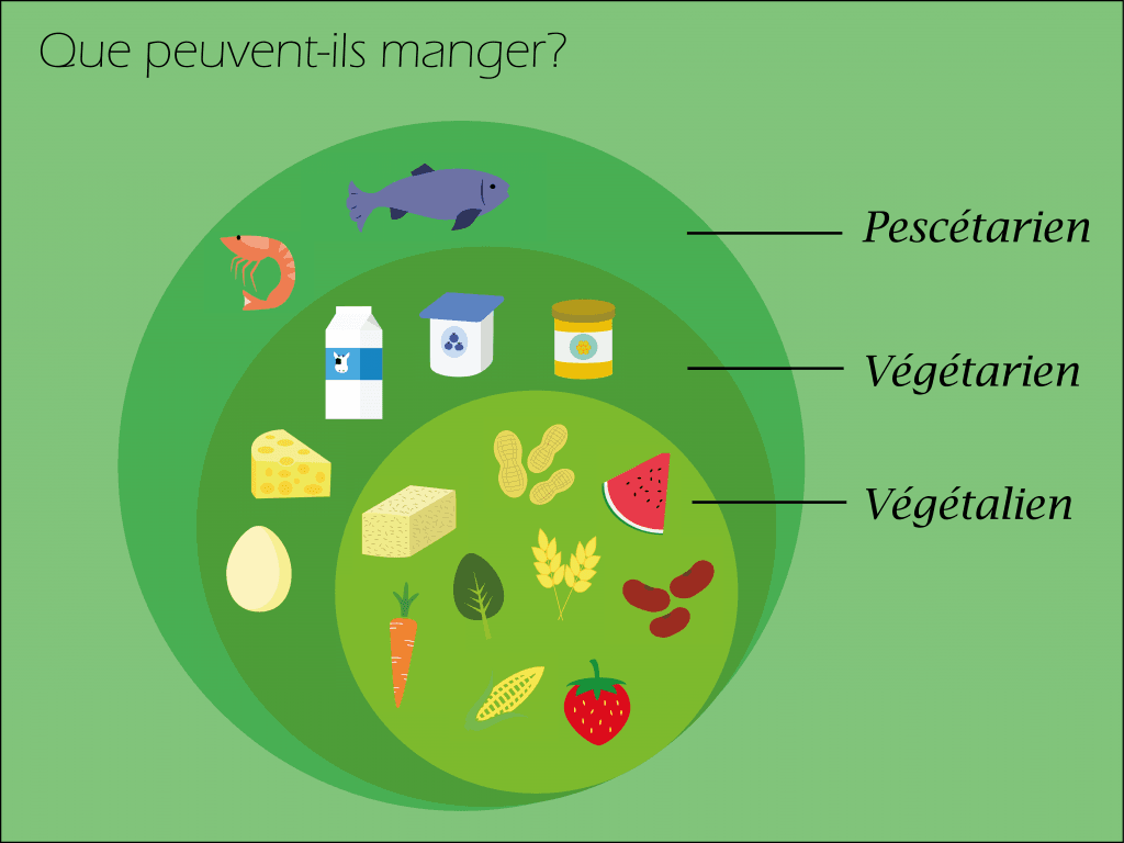 L'ABC des régimes alimentaires