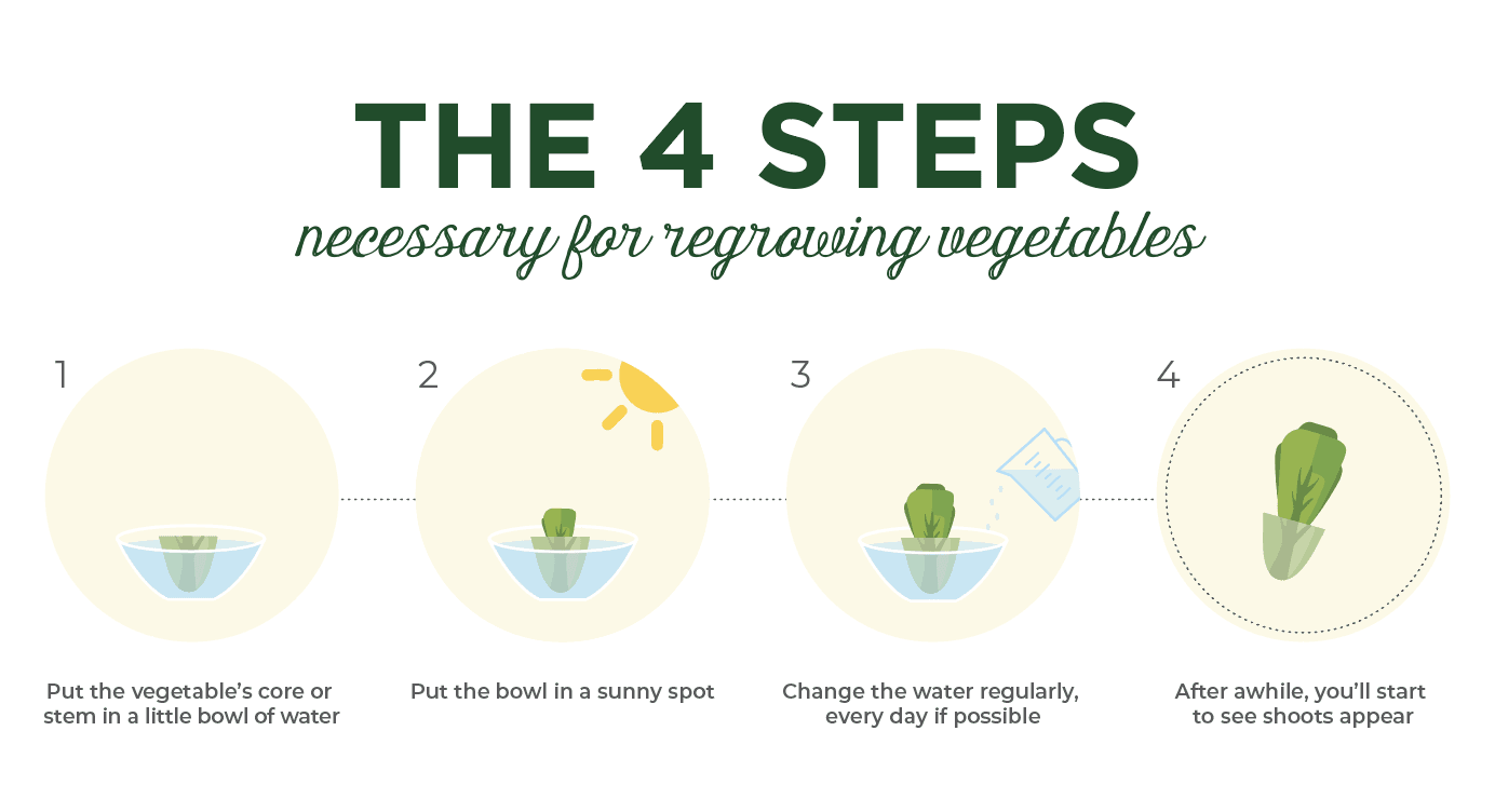 4-steps