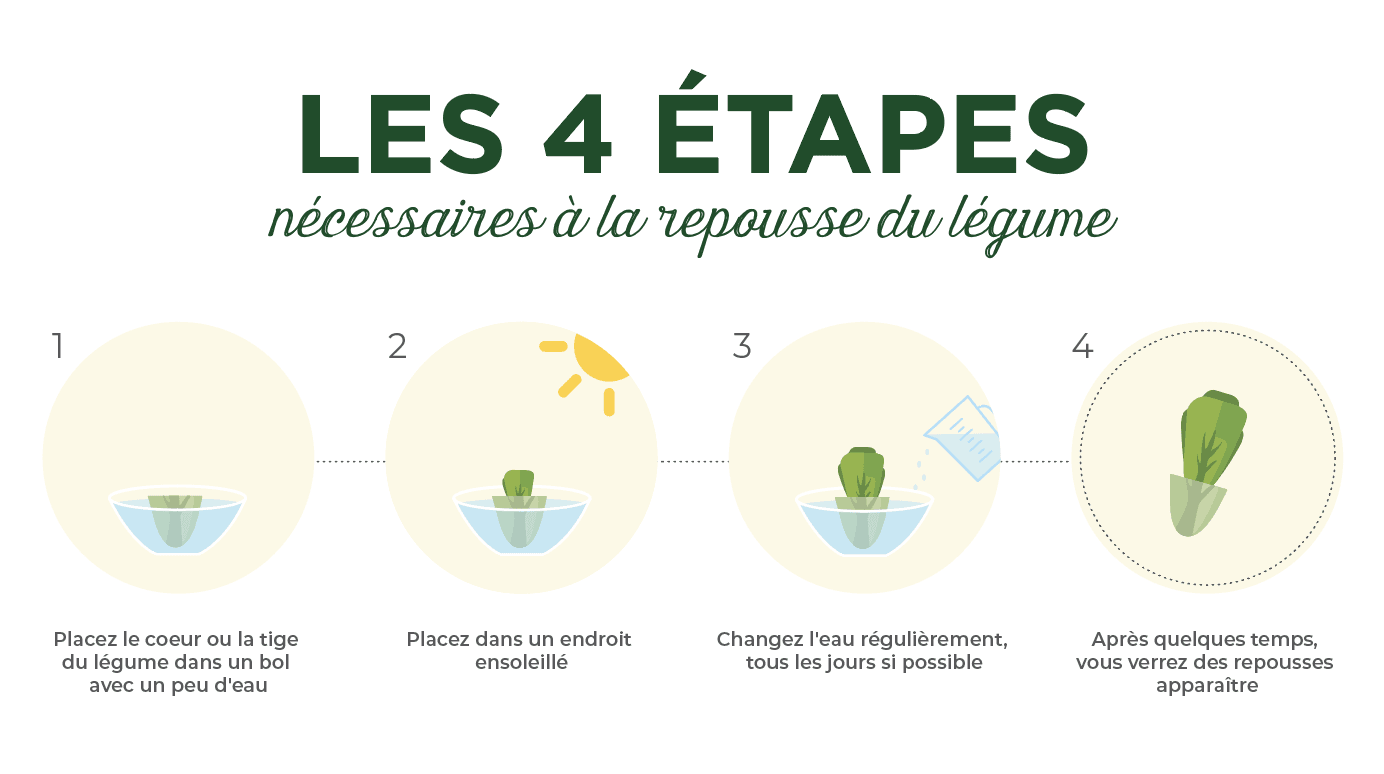 4-etapes