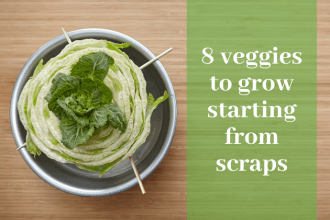 grow-from-scraps