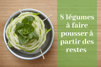 restes-legumes