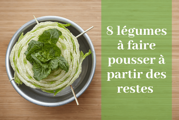 restes-legumes