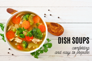 Dish soups