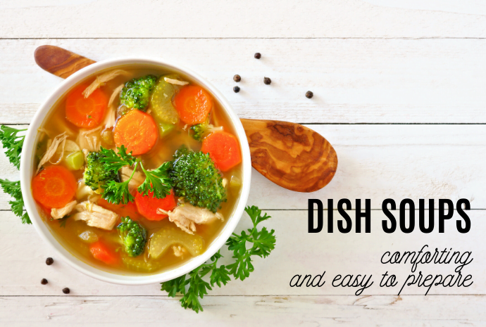 Dish soups