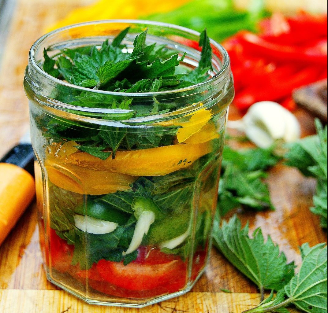 lacto-fermentation