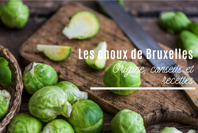 Les Choux De Bruxelles Comment Bien Les Cuisiner Arctic Gardens