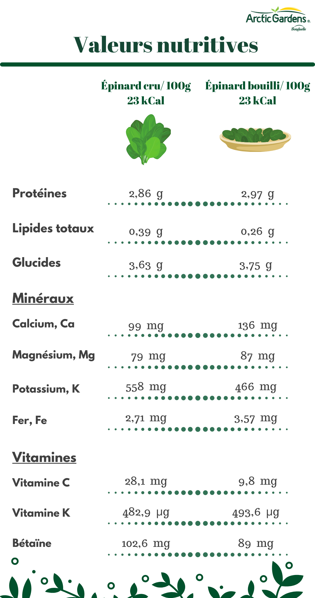 Roquette : bienfaits, préparation, valeur nutritive