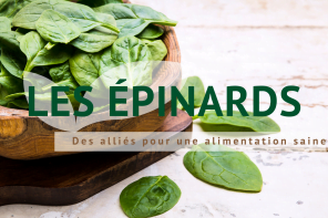 bienfaits-epinards-arctic-gardens