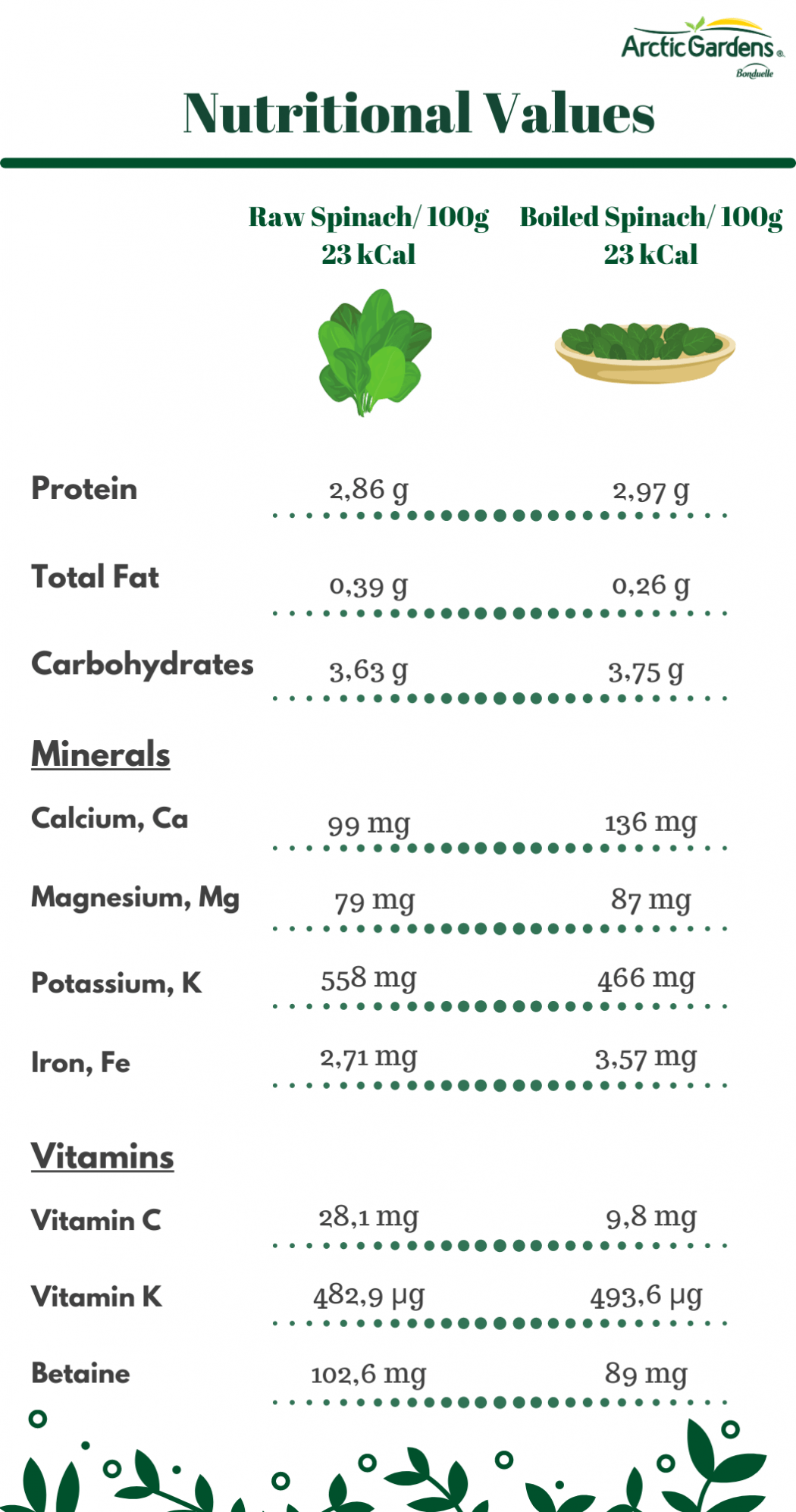 Spinach discover its health benefits Arctic Gardens