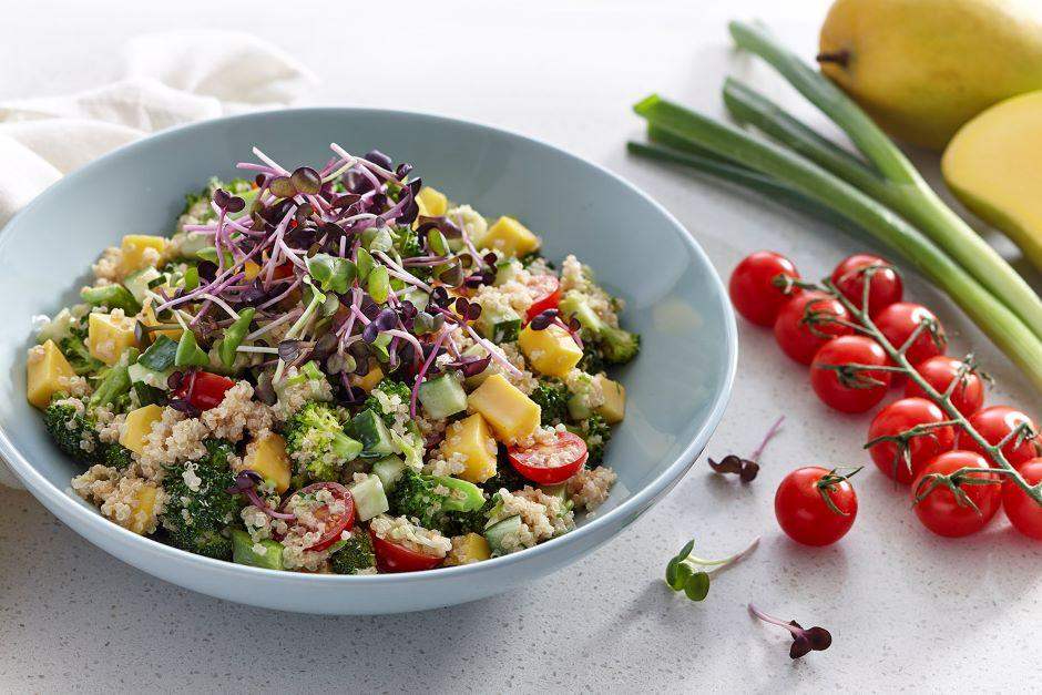 Quinoa, broccoli and radish microgreens bowl | Arctic Gardens